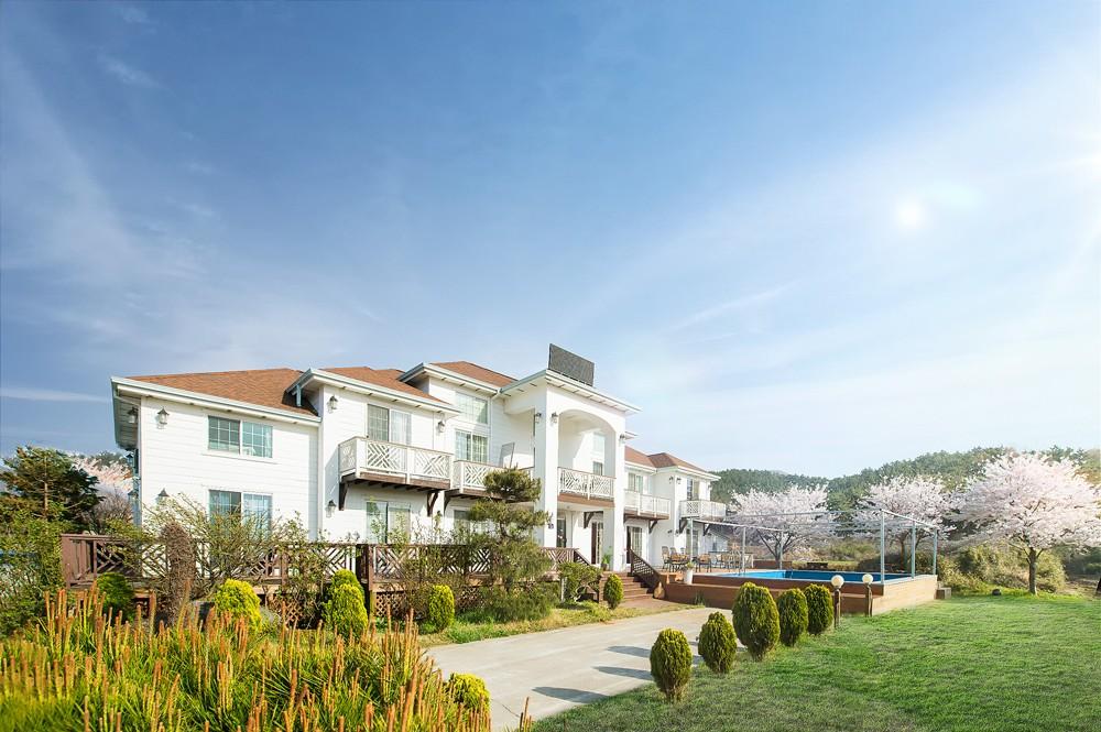 부안 발리 애견동반펜션 (Buan Bali Pet Friendly Pension)