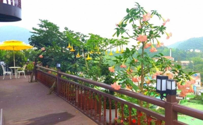 여수 정원이예쁜독채펜션 (Yeosu Beautiful Garden Unshared House Pension)