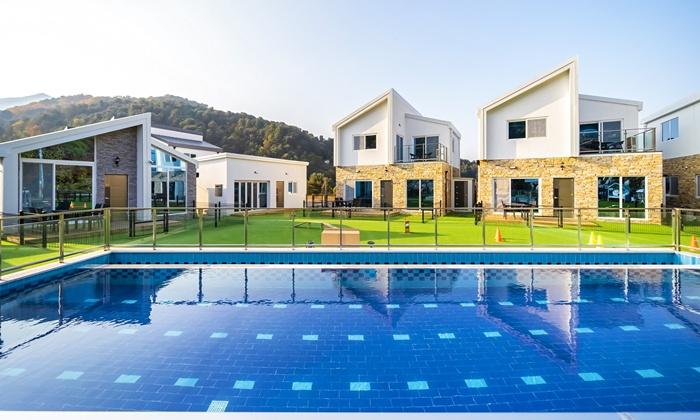 Gold Spoon Dog Pool Villa