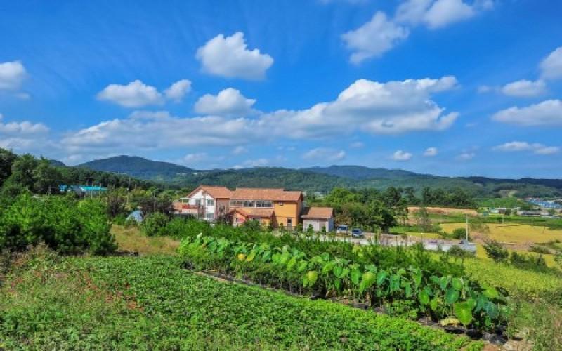 용인 파인하우스펜션 (Yongin Pine House Pension)