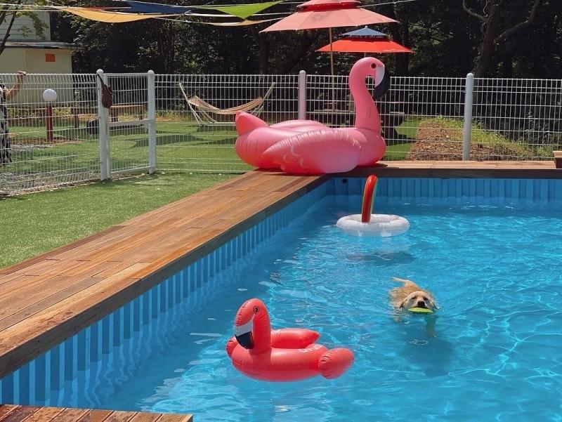 서산 펫앤트리글램핑 (Seosan Pet and Tree Glamping)