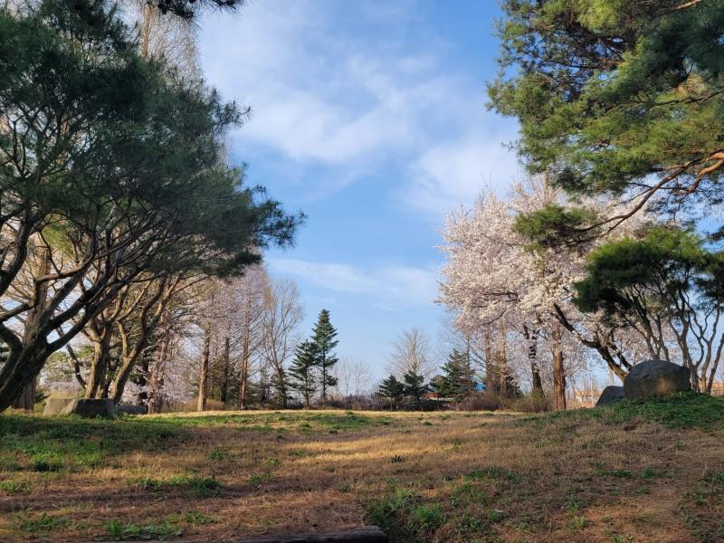 음성 작은숲펜션 (Eumseong Small Forest Pension)