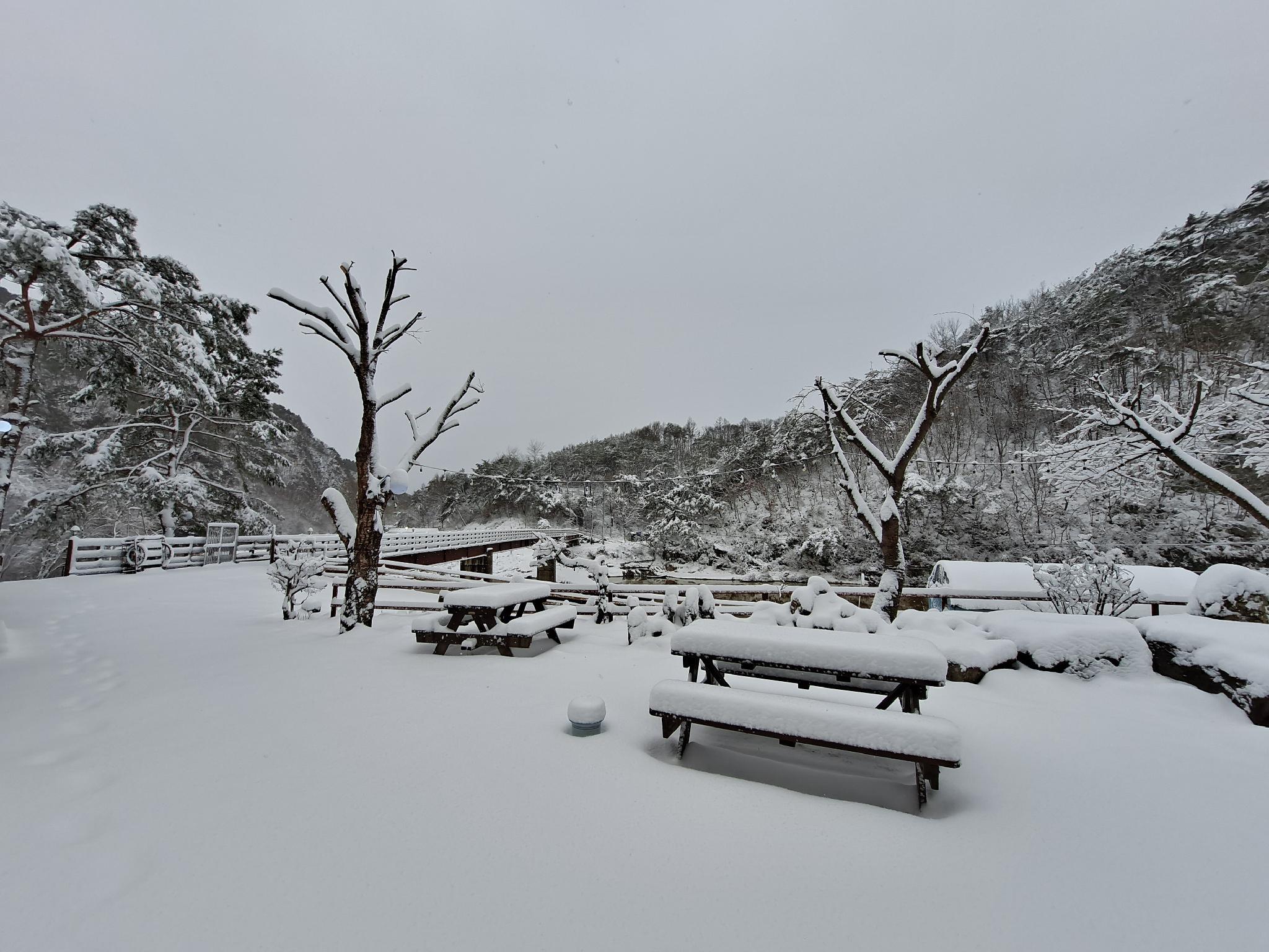 리버뷰 소나무 펜션 (hongcheon river view sonamu pension)