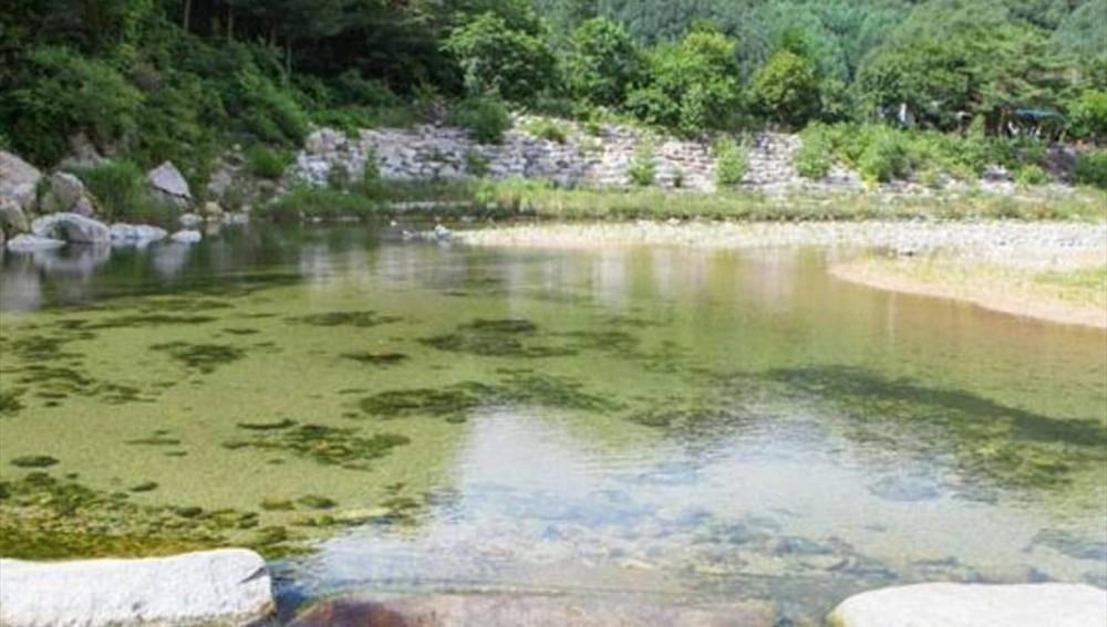 인제 가리산필례펜션 (Inje Garisan Pilye Pension)