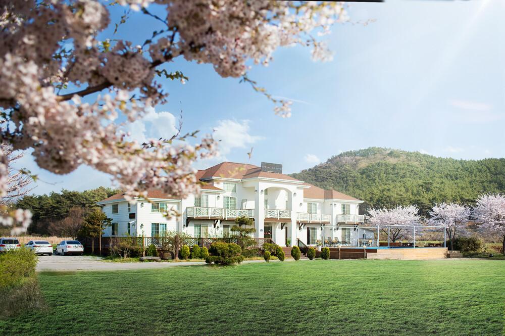 부안 발리 애견동반펜션 (Buan Bali Pet Friendly Pension)