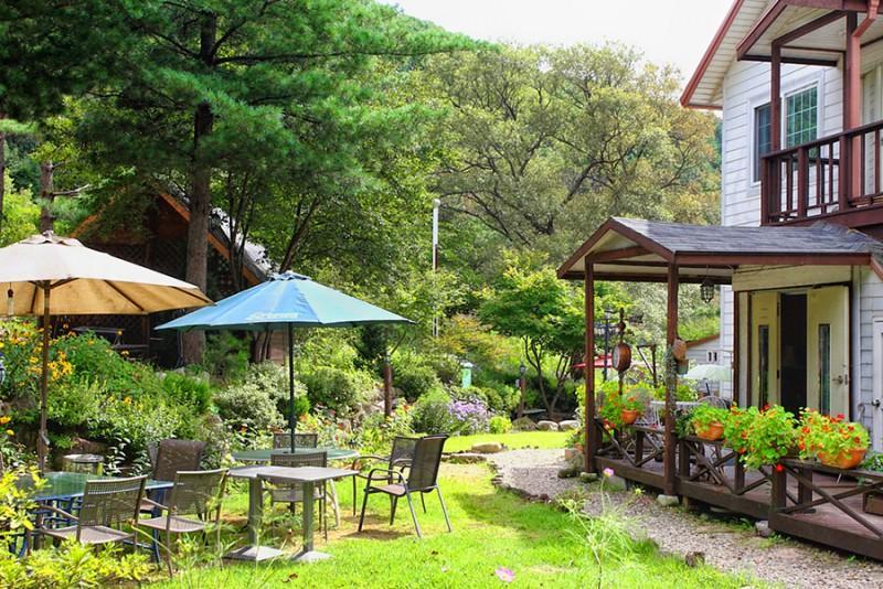 평창 계방산로뎀나무펜션 (Pyeongchang Gyebang San Rodem Tree Pension)