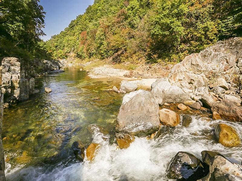 단양 테라스에별이뜨면펜션 (Danyang Terravill Pension)