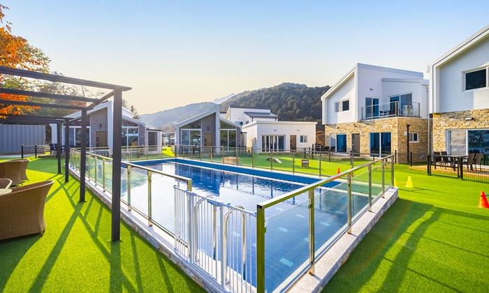 Gold Spoon Dog Pool Villa