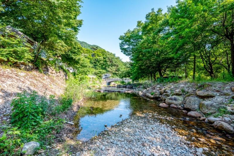 구례 지리산포레스트카라반파크 (Gurye Jirisan Forest Caravan Park)