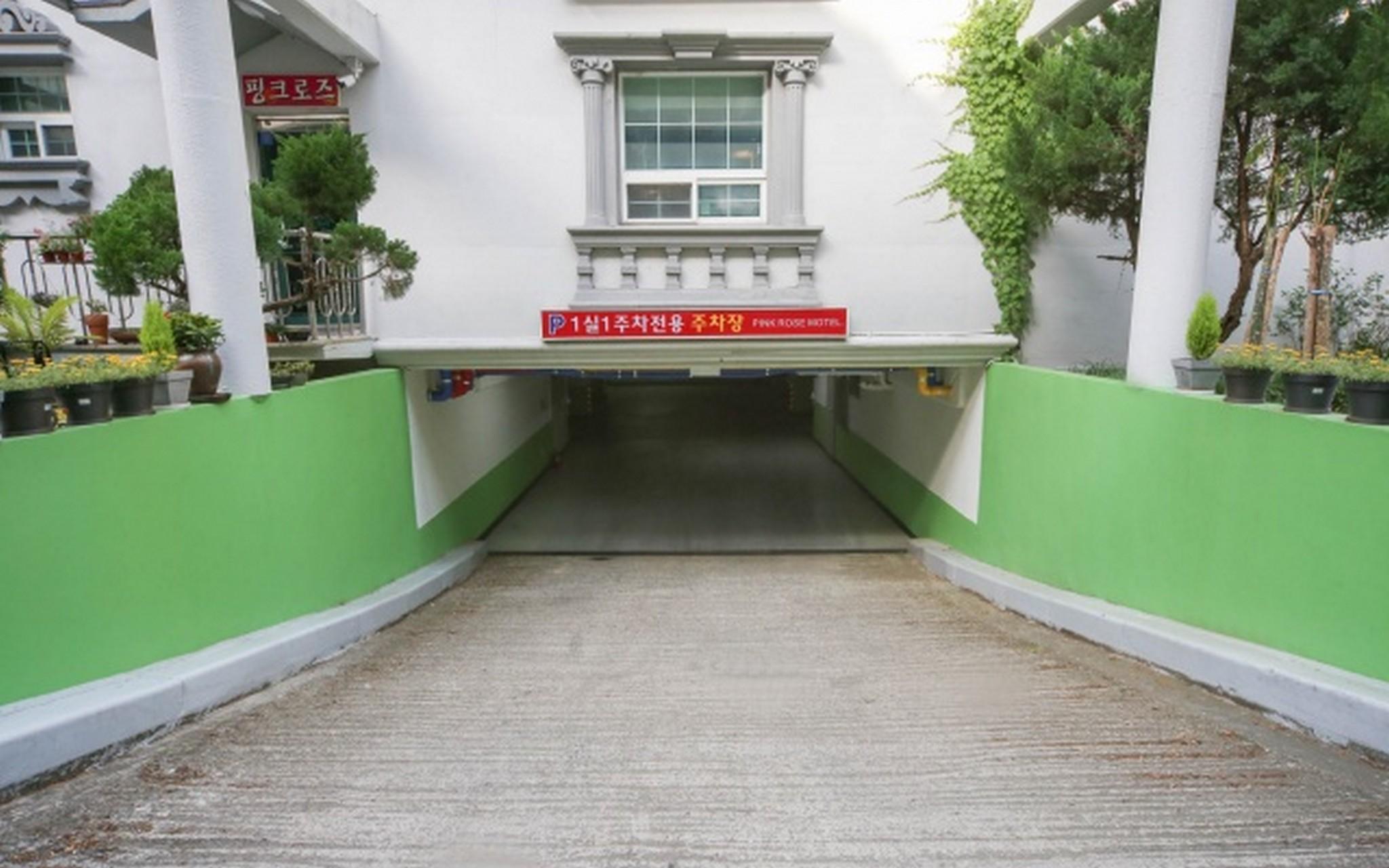 구미 금오산 핑크로즈 (Gumi Geumosan Pink Rose)