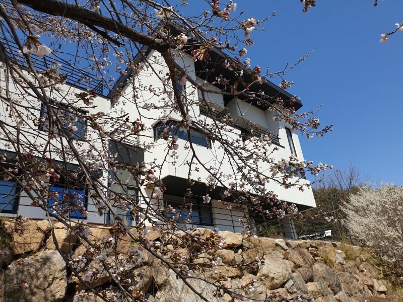 봉화 홍제원펜션 (Bonghwa Hongjewon Pension)