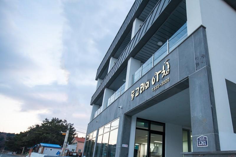 완도 동고리의아침펜션 (Morning Pension in Dong-gori, Wando)