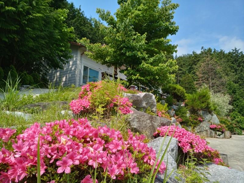 장성 편백숲속펜션 (Jangseong Cypress Forest Pension)
