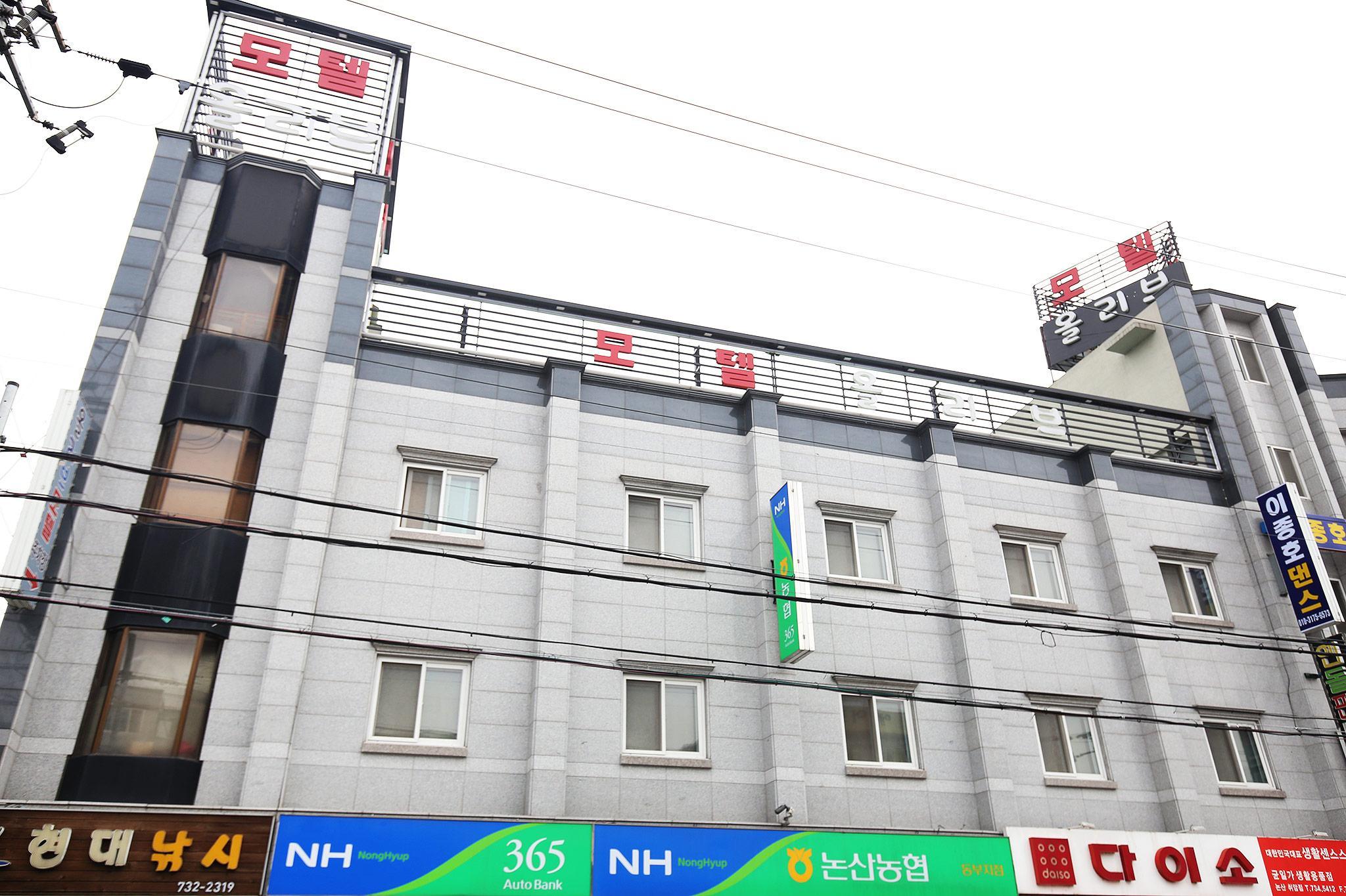 논산 올리브 (Nonsan Olive)