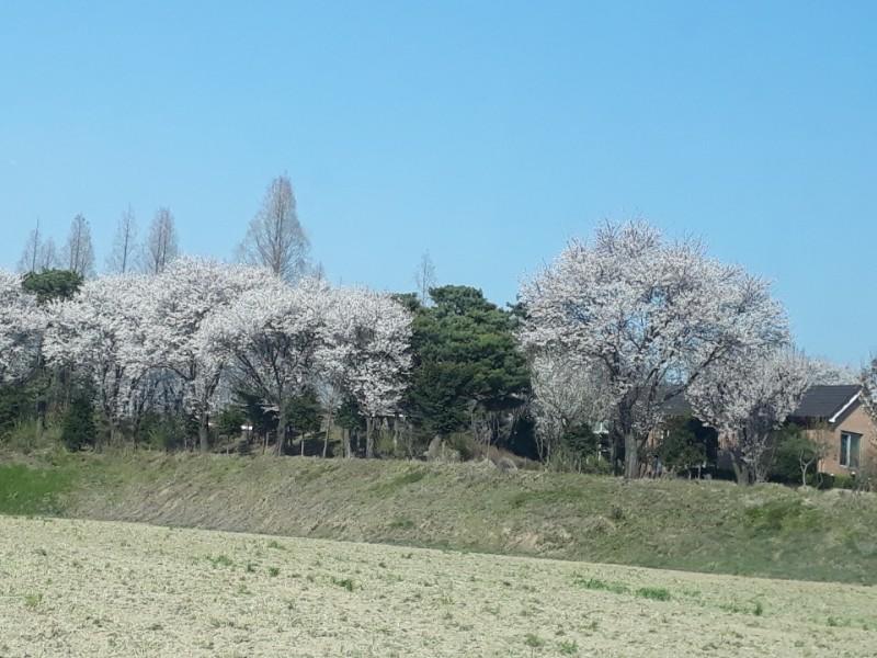 음성 작은숲펜션 (Eumseong Small Forest Pension)