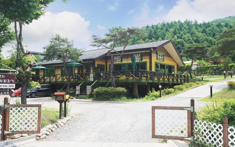 홍천 고흐와해바라기 (Hongcheon Gogh and Sunflower)