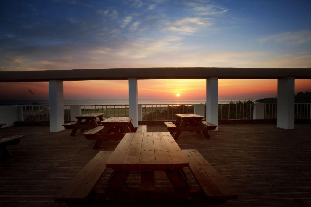 지오 파인트리 (Zio Pintree)