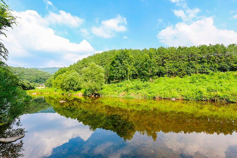 공주 하얀펜션 (Gongju Hayan Pension)
