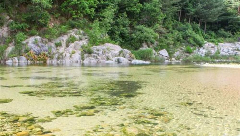 인제 가리산필례펜션 (Inje Garisan Pilye Pension)