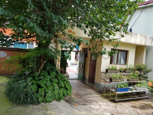 죽녹원 민박 (JNW MINBAK)