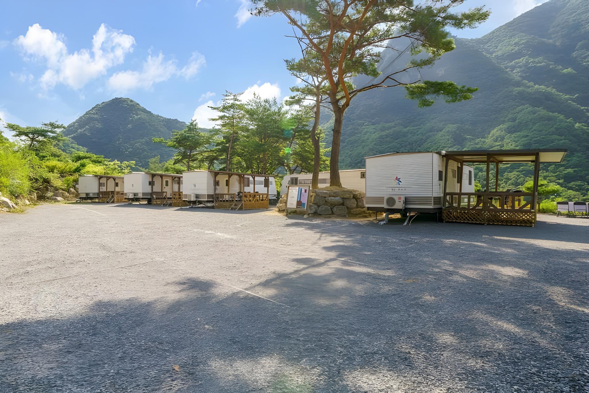 단양 파인카라반캠핑장 (Danyang Pine Caravan Camping)