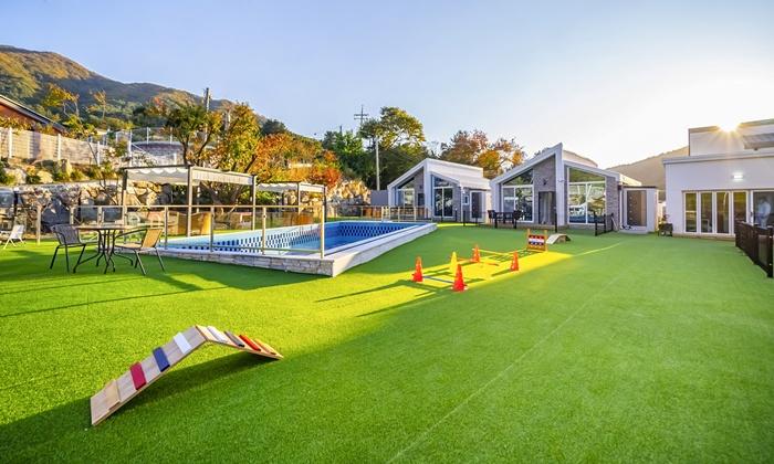 Gold Spoon Dog Pool Villa