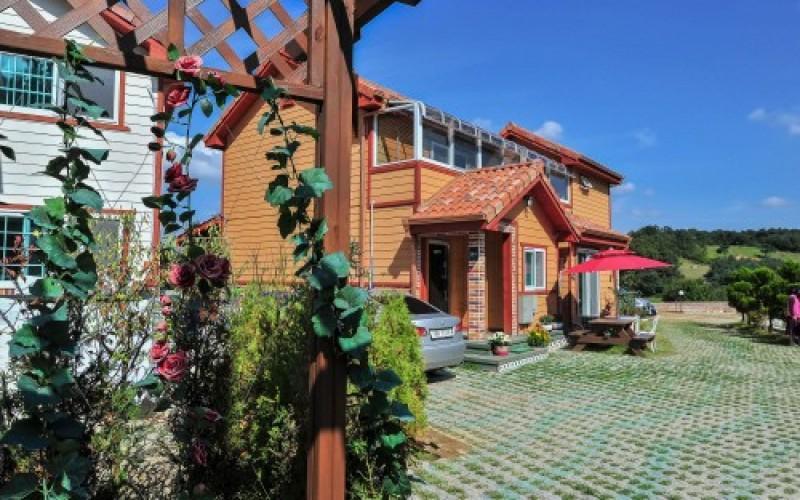 용인 파인하우스펜션 (Yongin Pine House Pension)