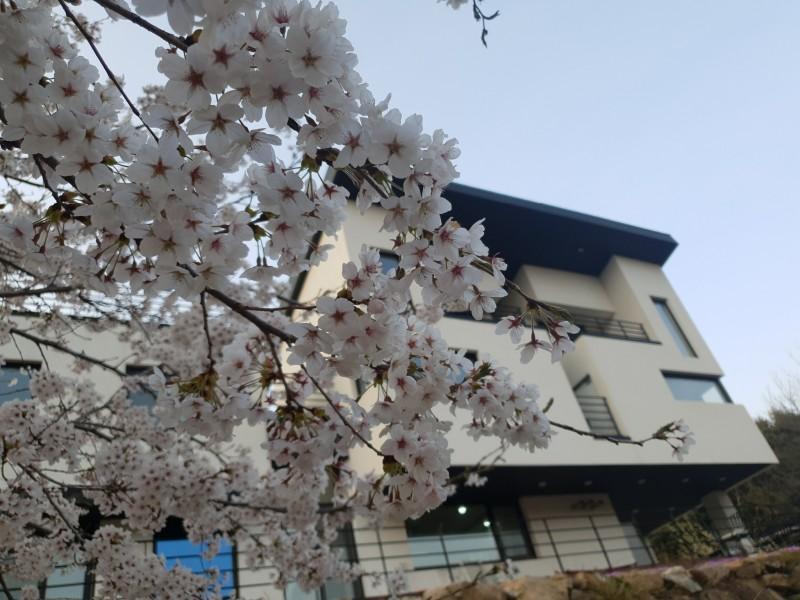 봉화 홍제원펜션 (Bonghwa Hongjewon Pension)