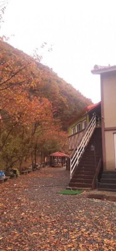 충주 월악산꽃피는산골펜션 (Wolaksan Blooming Village Pension)