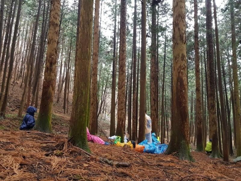 장성 편백숲속펜션 (Jangseong Cypress Forest Pension)