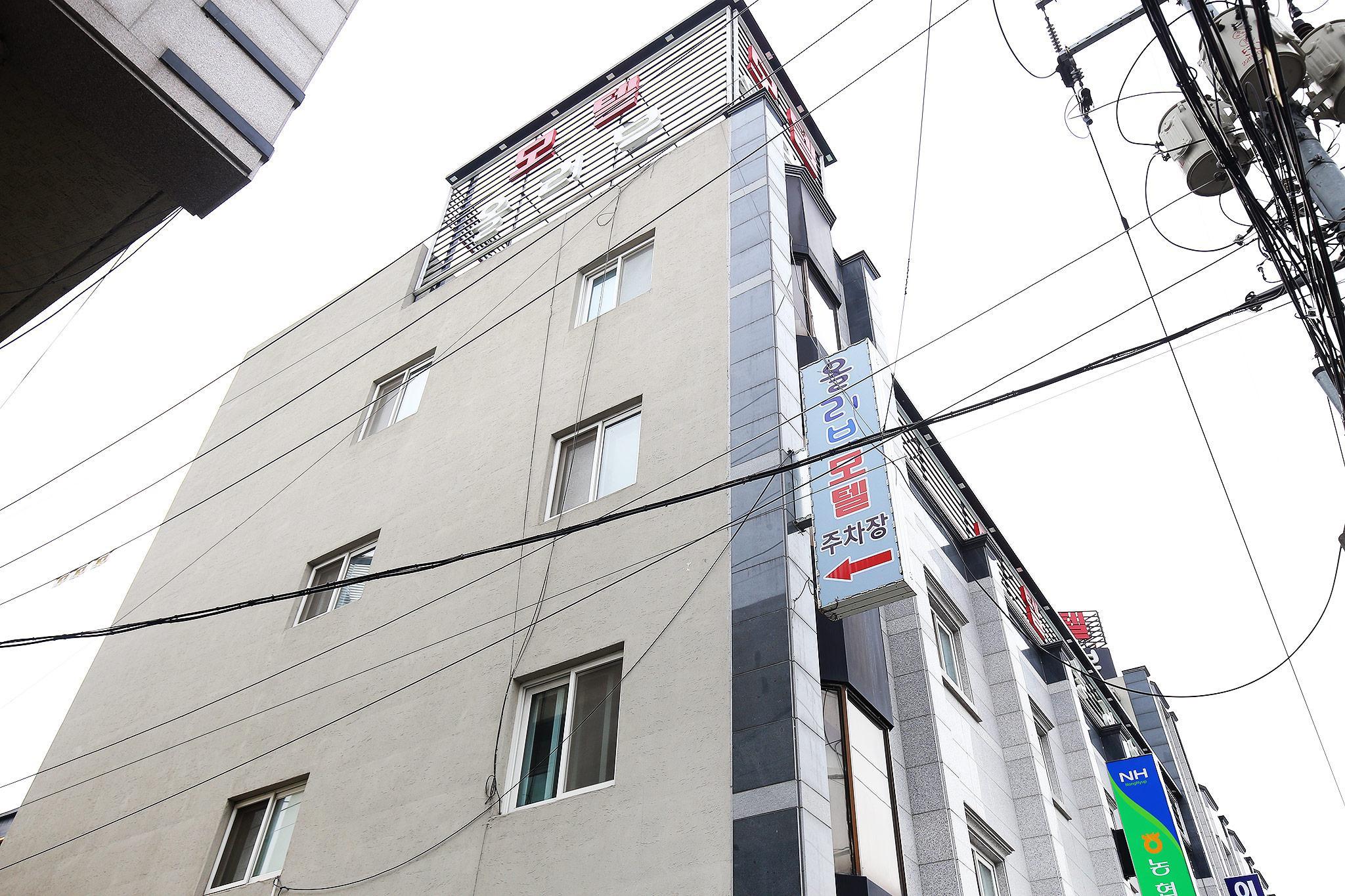 논산 올리브 (Nonsan Olive)