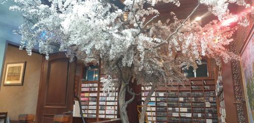 반달 북 & 스테이 (Bandal Book & Stay)