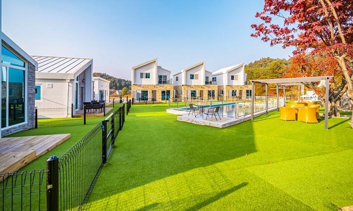 Gold Spoon Dog Pool Villa