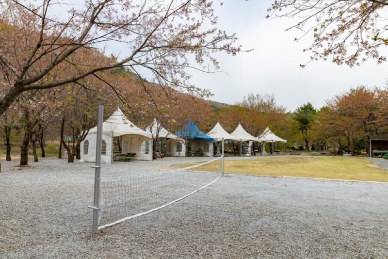 괴산 속리산통나무펜션 (Goesan Songnisan Tongnamu Pension)