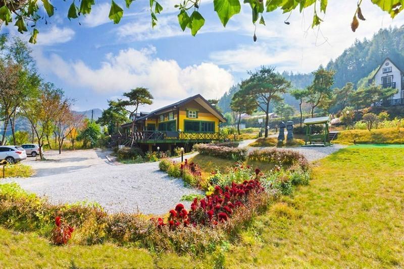 홍천 고흐와해바라기 (Hongcheon Gogh and Sunflower)