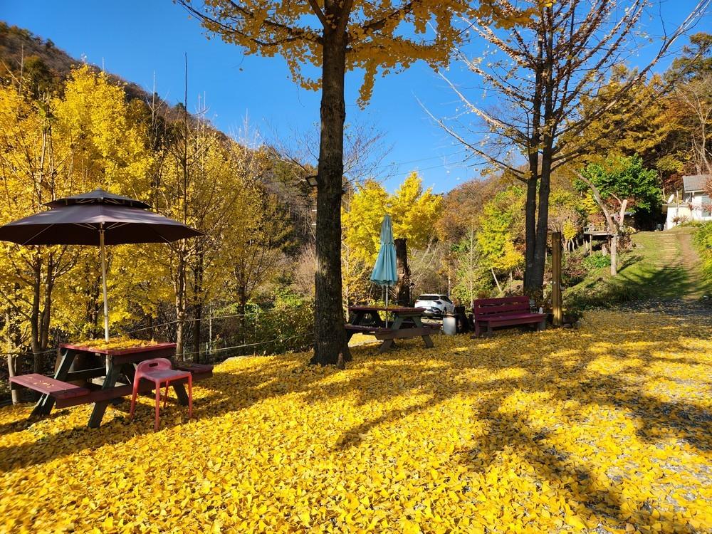 화천 산꾼의집 펜션 (Hwacheon Sankkunuijib Pension)