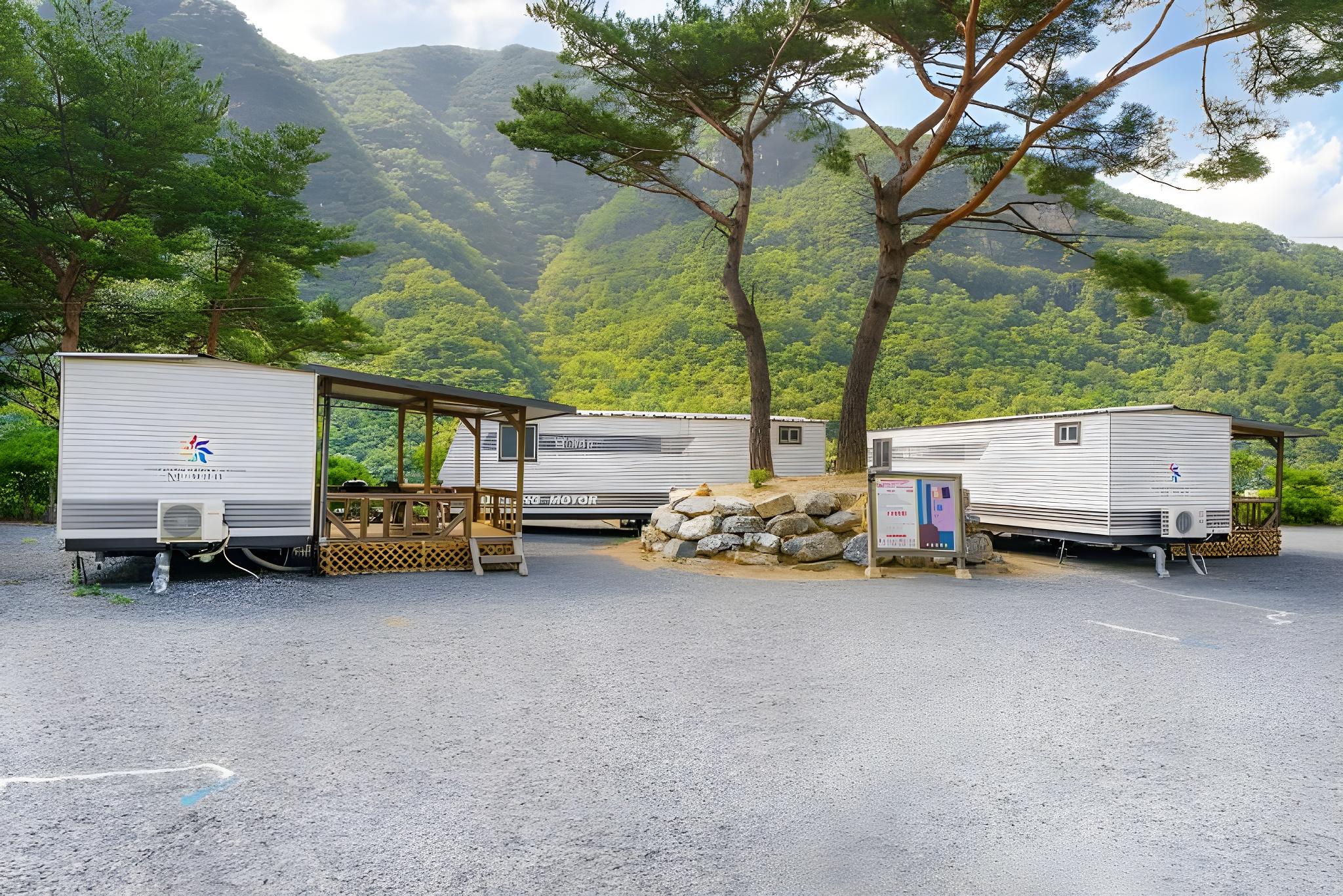 단양 파인카라반캠핑장 (Danyang Pine Caravan Camping)