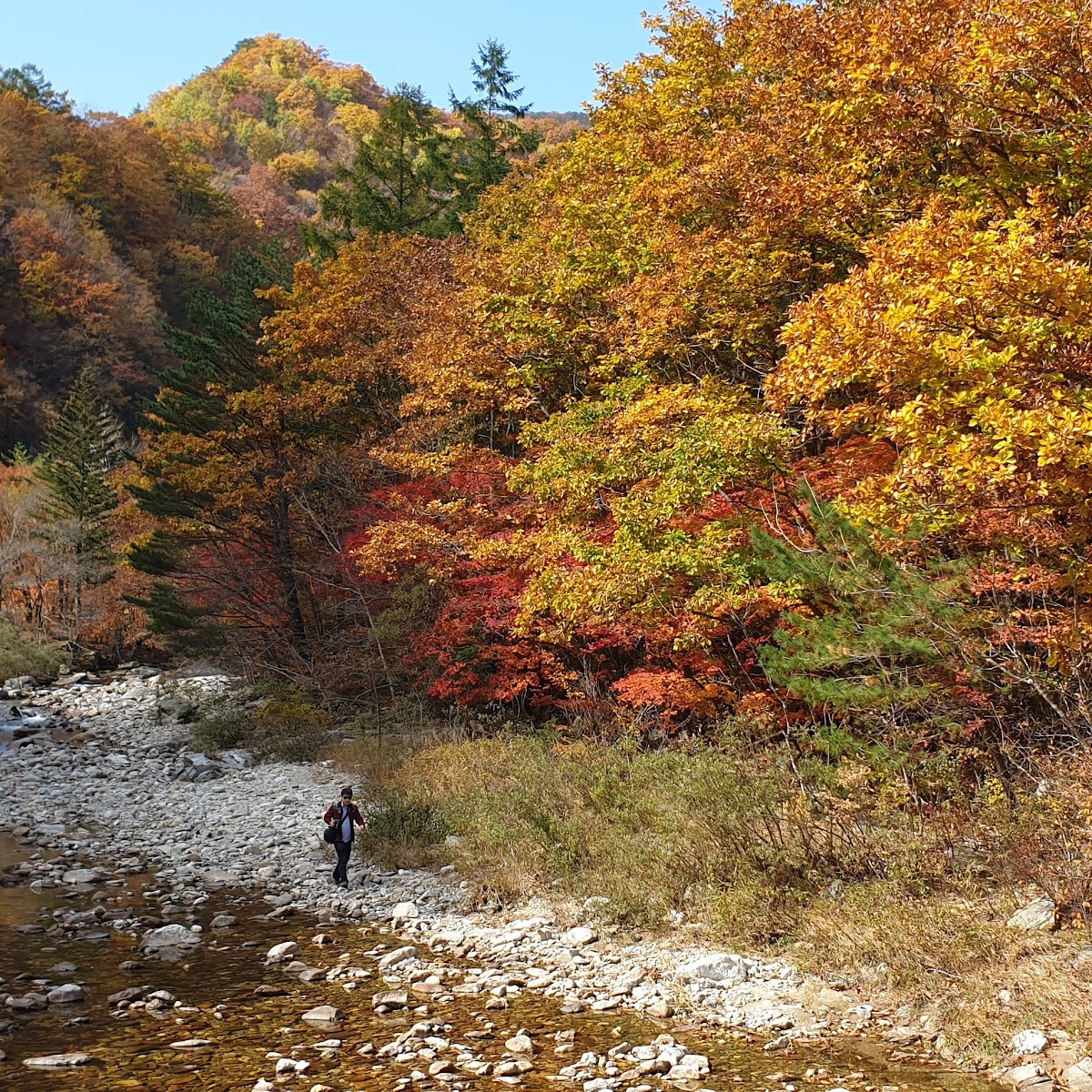 오대산