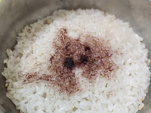 맛집신코다리네