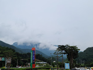 무주해물칼국수