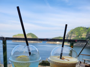 울릉 국화