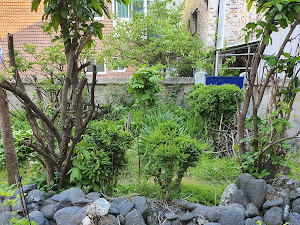 이정희차돌박이김치두루치기