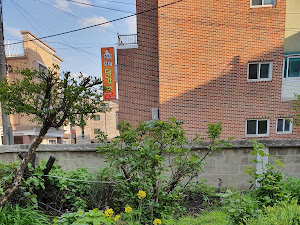 이정희차돌박이김치두루치기