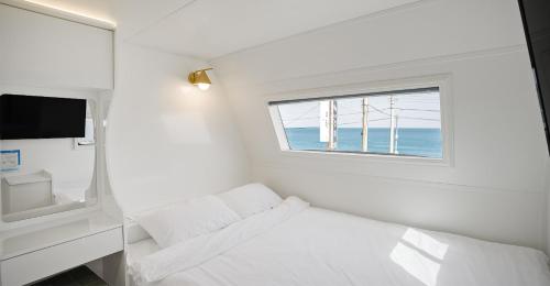 스페이스영덕 (Space Yeongdeok)