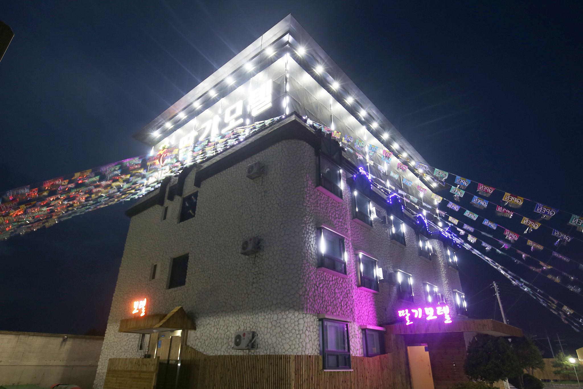 논산 딸기 (Nonsan strawberry)