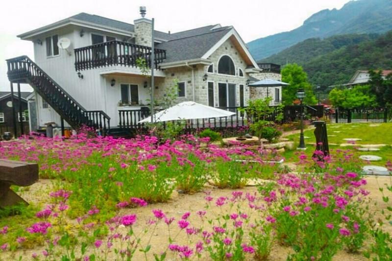 제천 베네치아펜션 (Jecheon Venezia Pension)