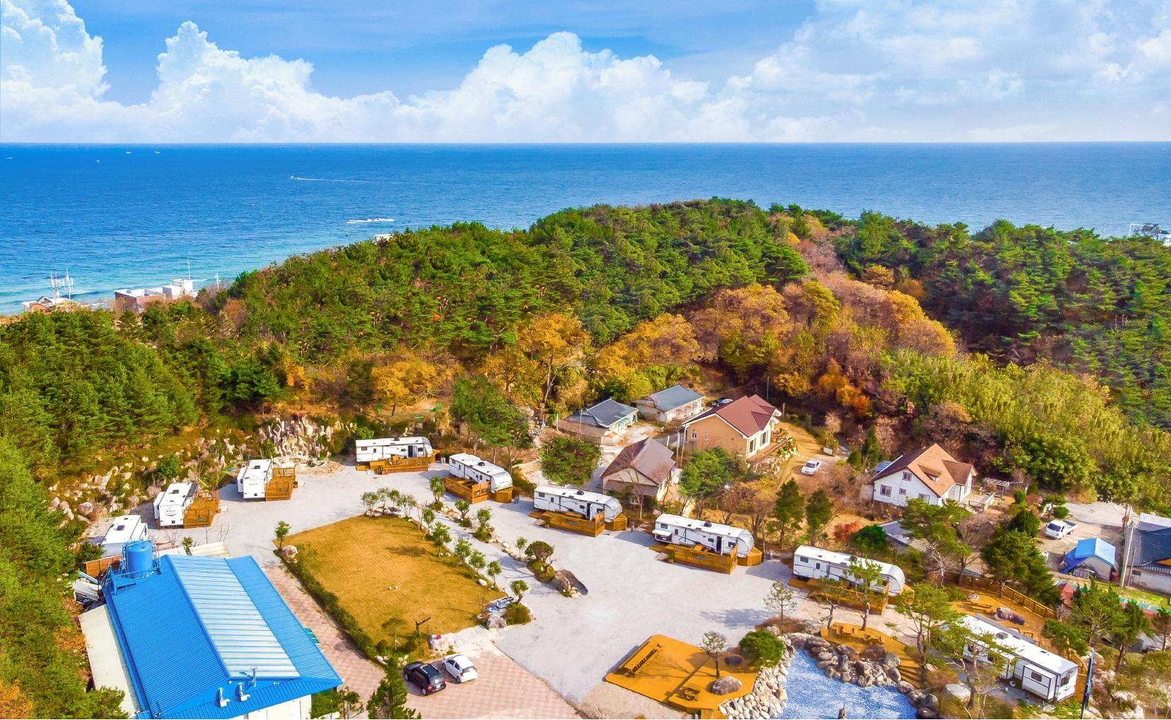 강릉 와우파크 카라반 (Gangneung Wow Park Caravan)