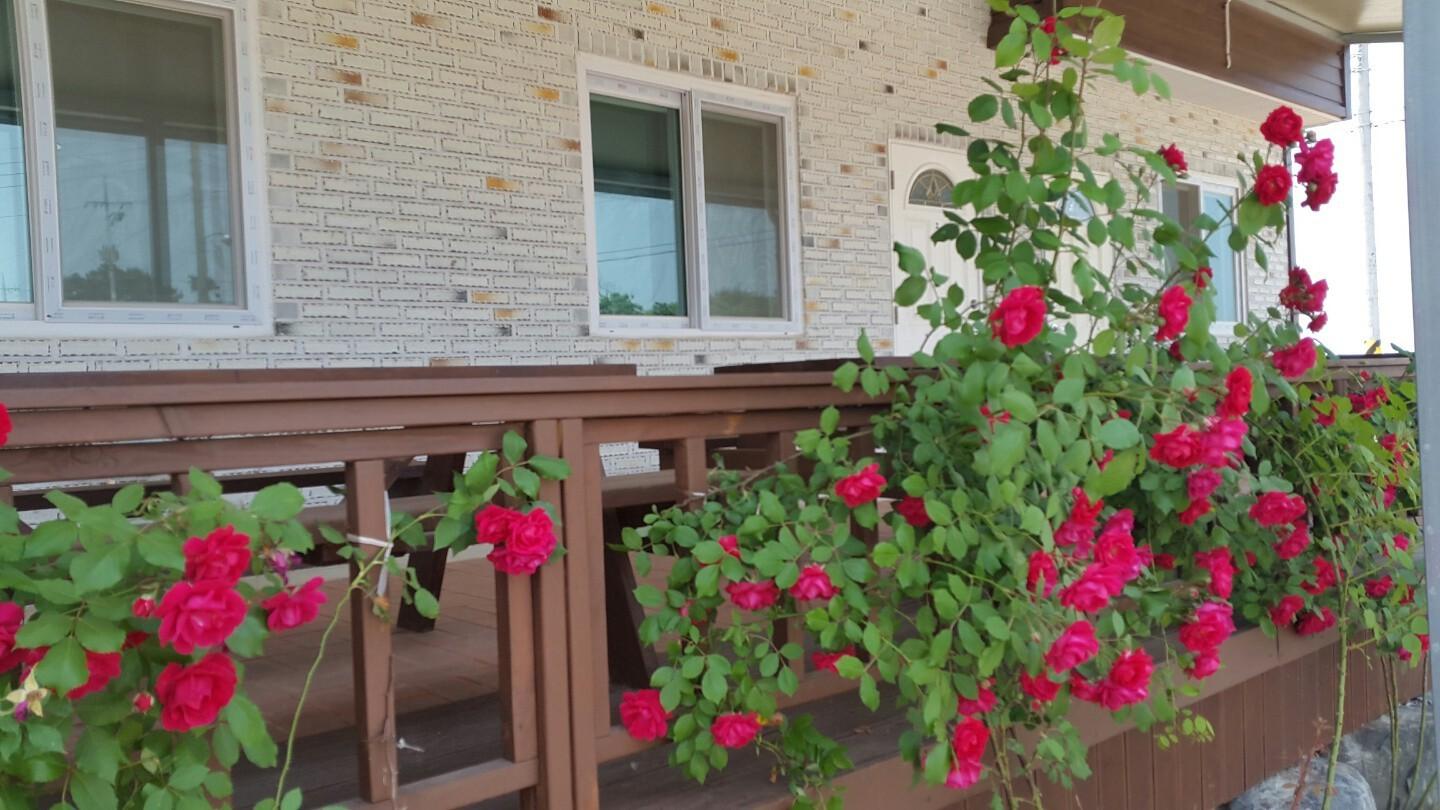 들꽃 펜션 (Nonsan Deulkot Pension)