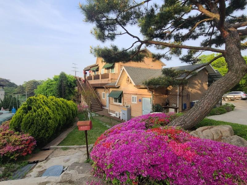 인천(무의도) 상수리나무아래펜션 (Incheon (Muuido) Pension under the oak tree)