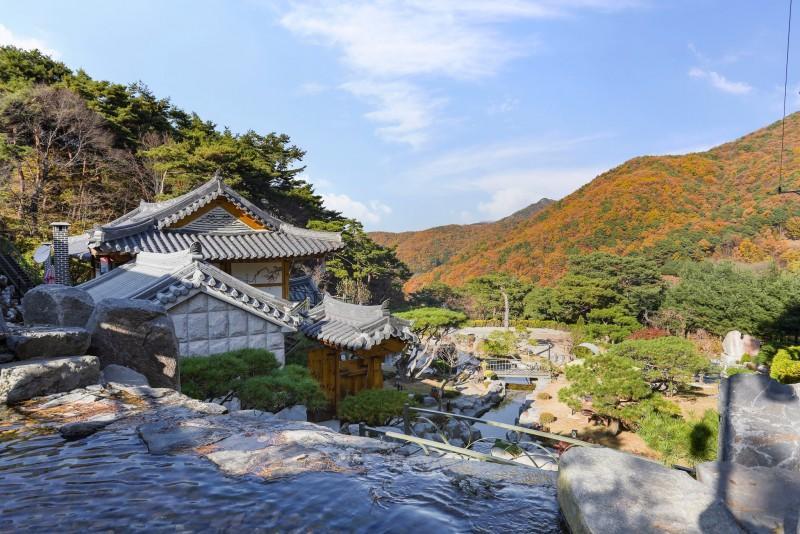 공주 솔향펜션 (Gongju Solhyang Pension)
